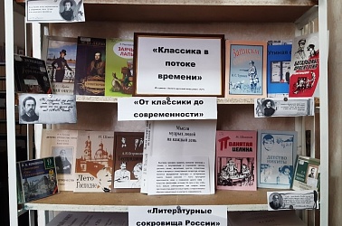 В Чапаевске прошла книжная выставка «Классика в потоке времени»