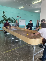 Мастер-класс по шоудауну в Клявлинской МО ВОС